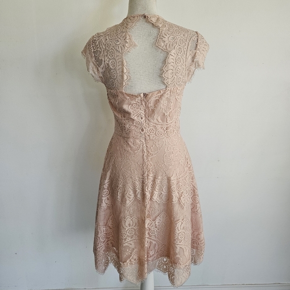 BB Dakota Pink Rose Smoke Lace Illusion Dress - Picture 6 of 10